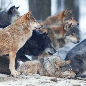 Meet your Posher, Terry